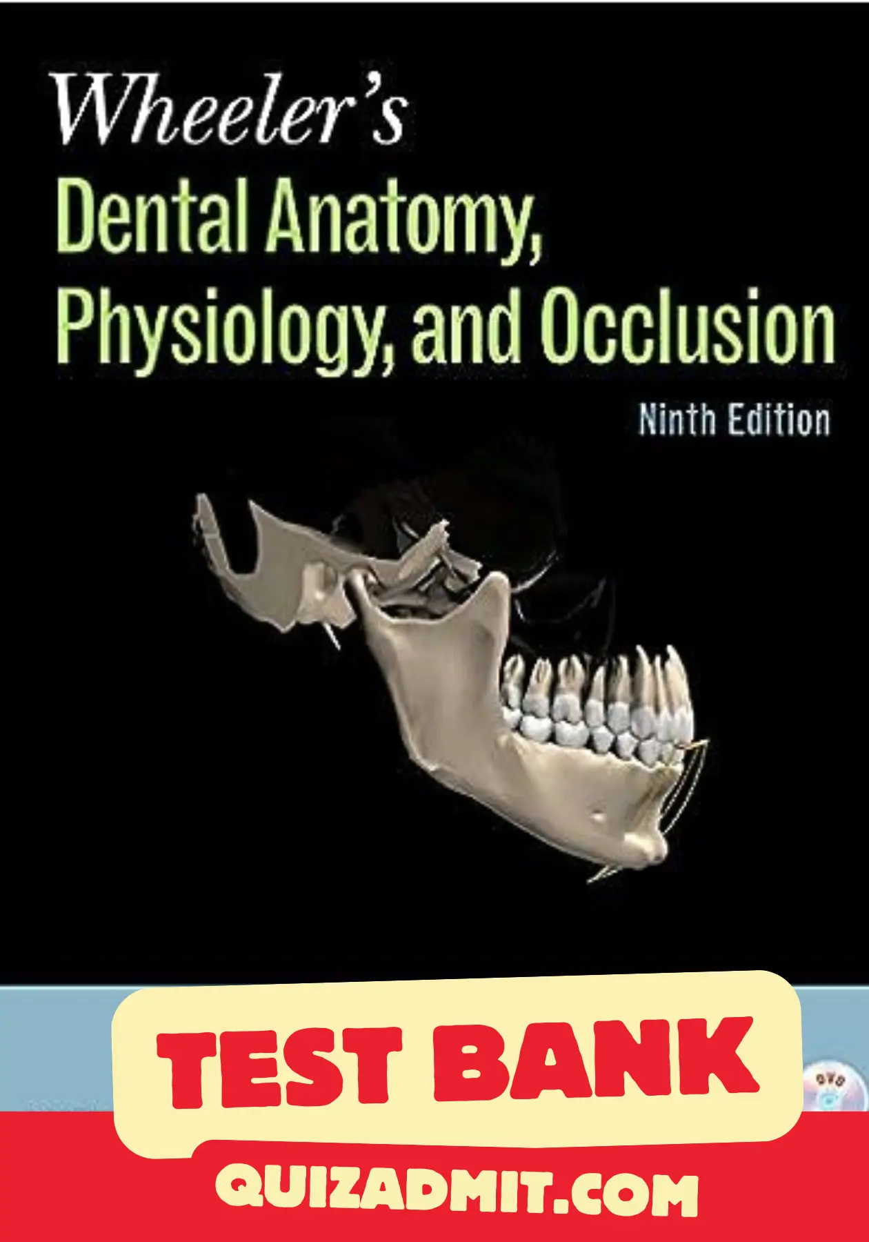 Wheeler's Dental Anatomy Physiology and Occlusion Test Bank